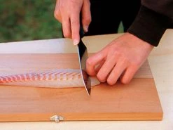 SNOW PEAK FIELD KITCHEN KNIFE -TANNER GOODS - shop 4 1024x1024 87a6a25d 9574 45c0 b0a3 c39a25478535 1024x1024@2x